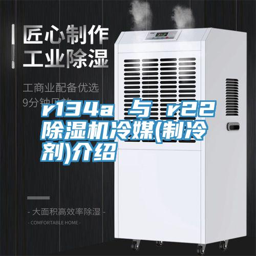 r134a 与 r22免费看操逼软件冷媒(制冷剂)介绍