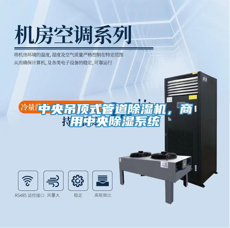 中央吊顶式管道免费看操逼软件，商用中央除湿系统