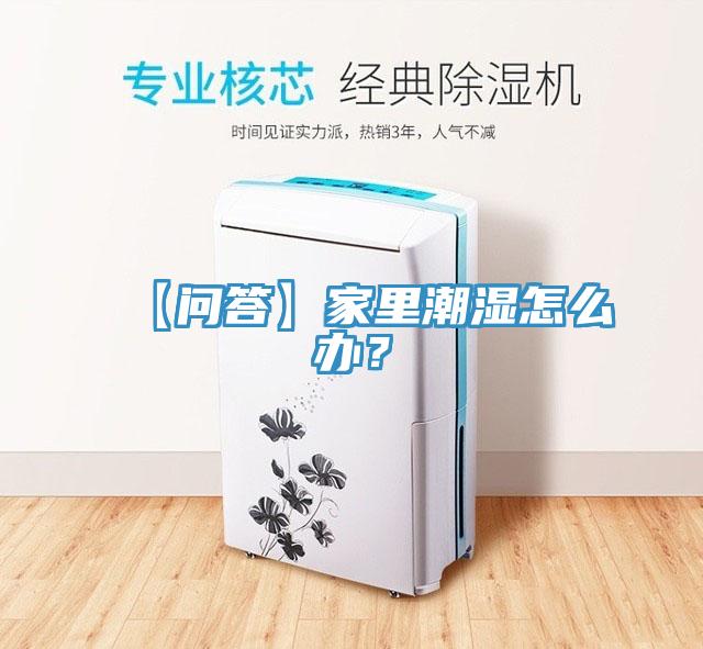 【问答】家里潮湿怎么办？