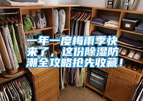 一年一度梅雨季快来了，这份除湿防潮全攻略抢先收藏！