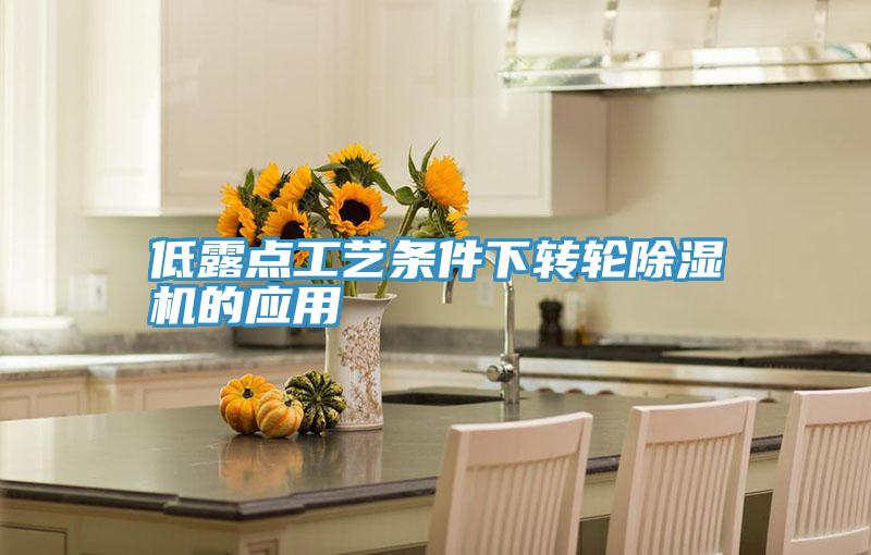 低露点工艺条件下转轮免费看操逼软件的应用