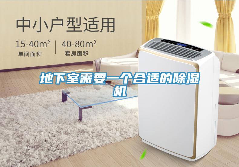 地下室需要一个合适的免费看操逼软件