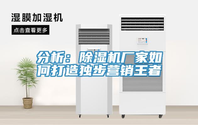 分析：免费看操逼软件厂家如何打造独步营销王者