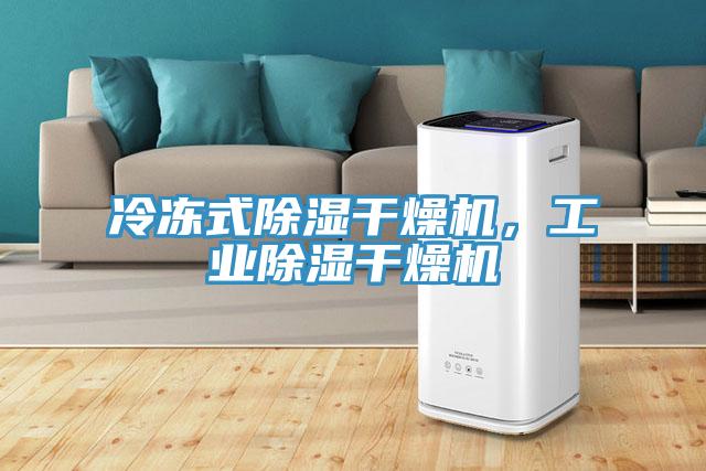 冷冻式除湿干燥机，工业除湿干燥机