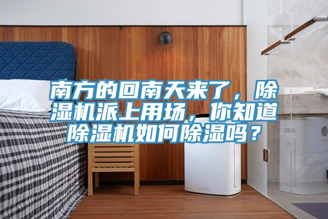 南方的回南天来了，免费看操逼软件派上用场，你知道免费看操逼软件如何除湿吗？
