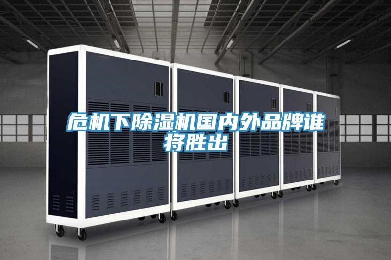 危机下免费看操逼软件国内外品牌谁将胜出