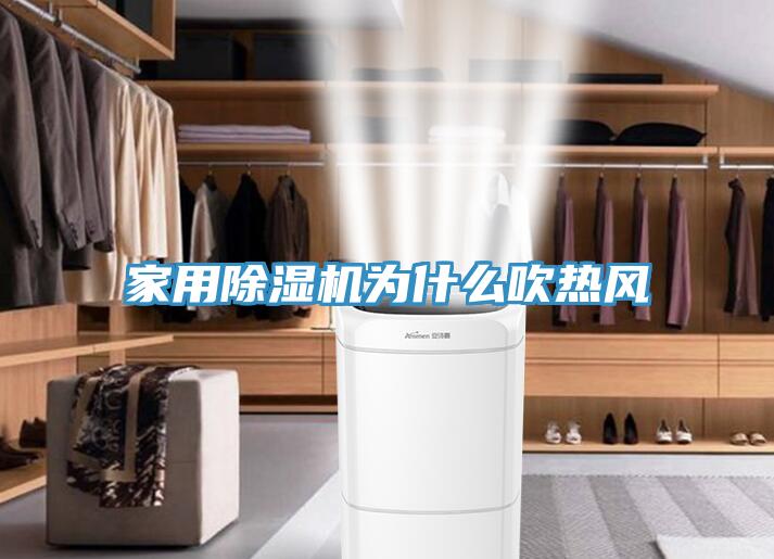 家用免费看操逼软件为什么吹热风