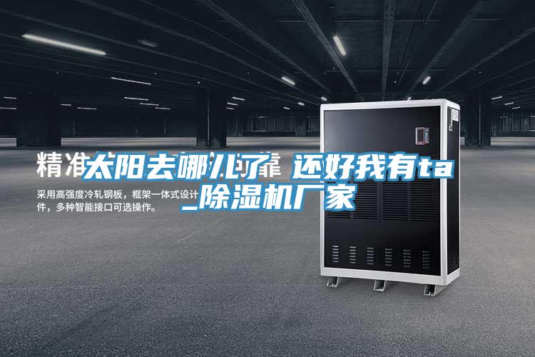 太阳去哪儿了 还好我有ta_免费看操逼软件厂家