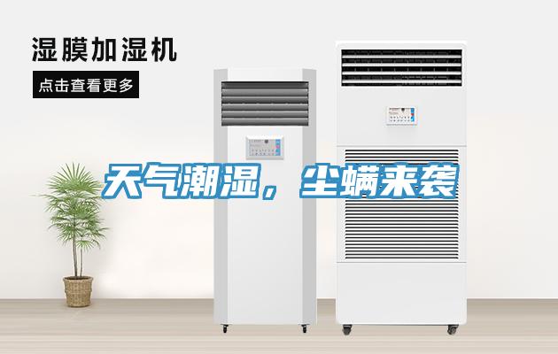天气潮湿，尘螨来袭