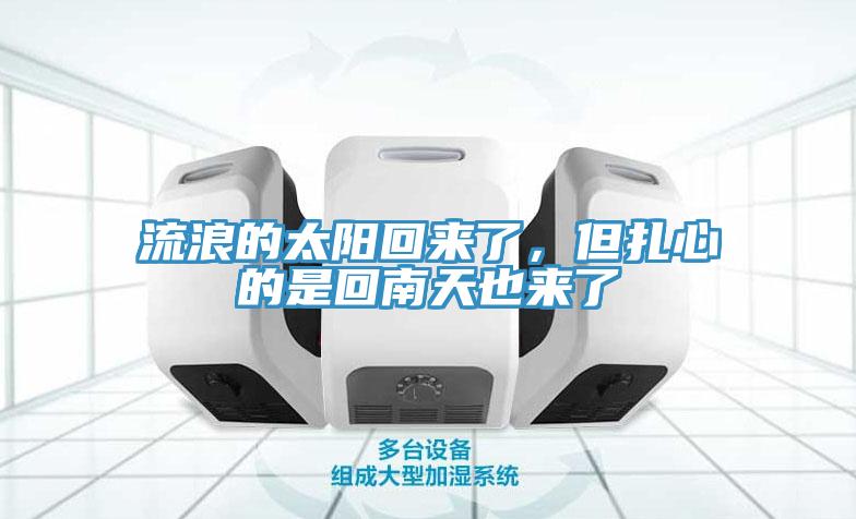 流浪的太阳回来了，但扎心的是回南天也来了