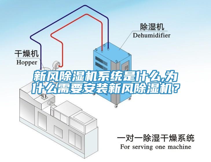 新风免费看操逼软件系统是什么,为什么需要安装新风免费看操逼软件？
