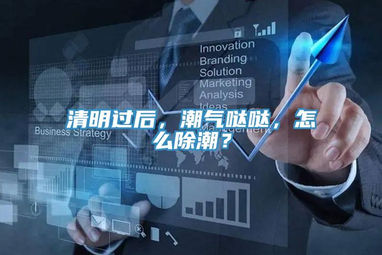 清明过后，潮气哒哒，怎么除潮？
