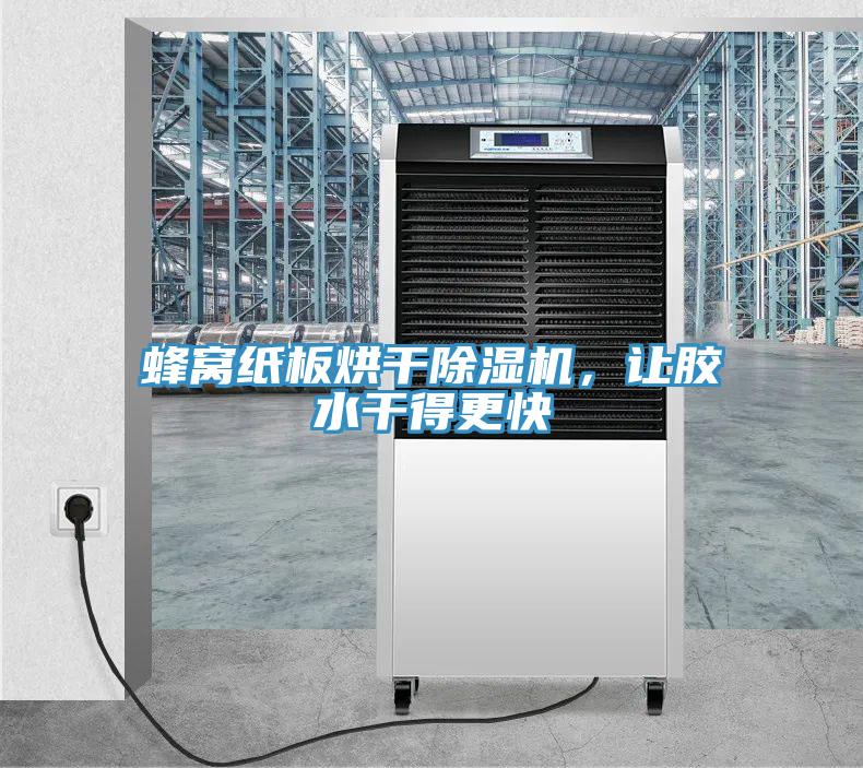 蜂窝纸板烘干免费看操逼软件，让胶水干得更快