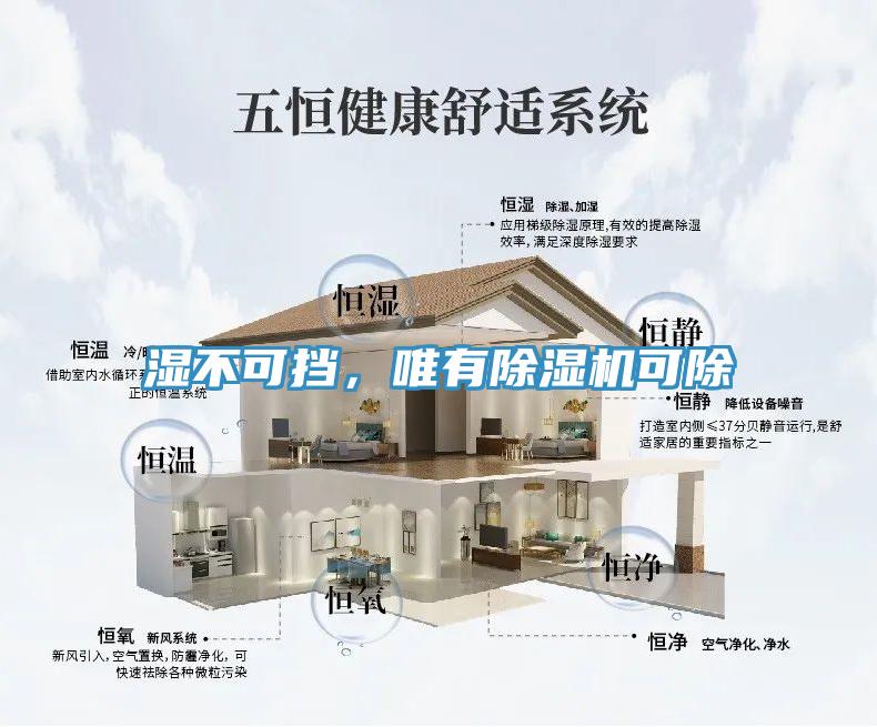 湿不可挡，唯有免费看操逼软件可除