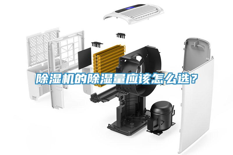 免费看操逼软件的除湿量应该怎么选？