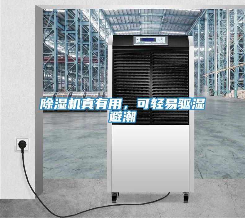 免费看操逼软件真有用，可轻易驱湿避潮