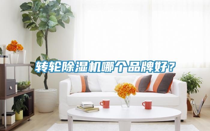 转轮免费看操逼软件哪个品牌好？