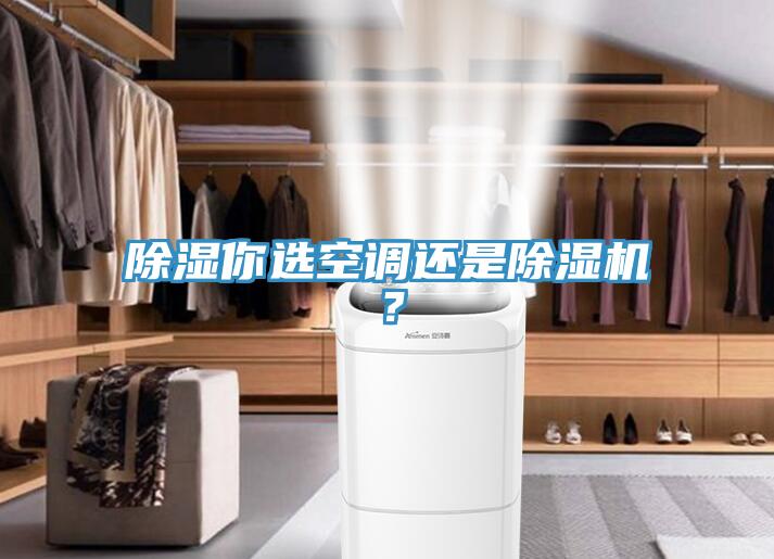 除湿你选空调还是免费看操逼软件？