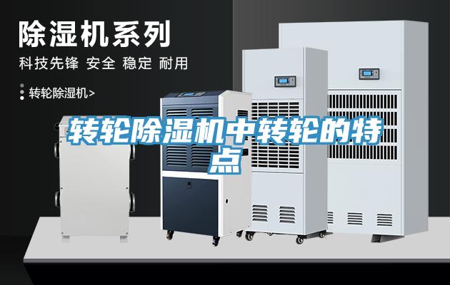 转轮免费看操逼软件中转轮的特点
