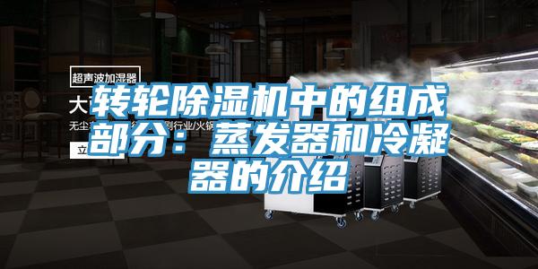 转轮免费看操逼软件中的组成部分：蒸发器和冷凝器的介绍