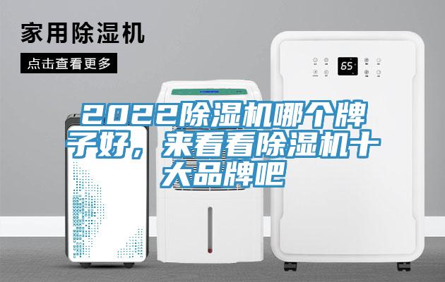 2022免费看操逼软件哪个牌子好，来看看免费看操逼软件十大品牌吧