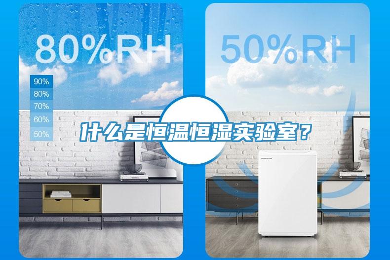 什么是恒温恒湿实验室？