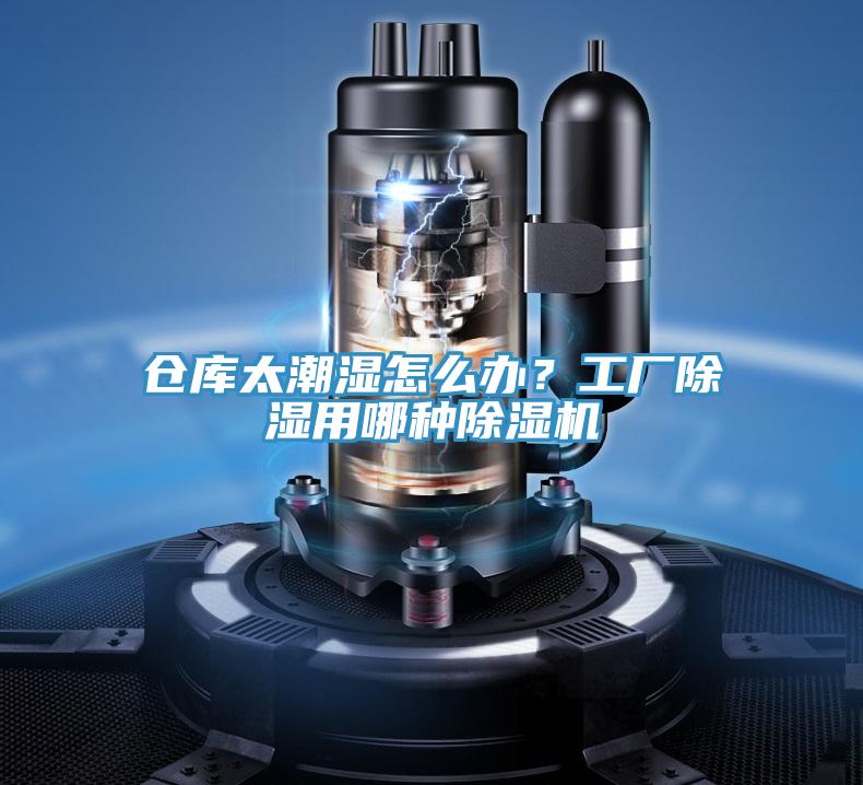 仓库太潮湿怎么办？工厂除湿用哪种免费看操逼软件