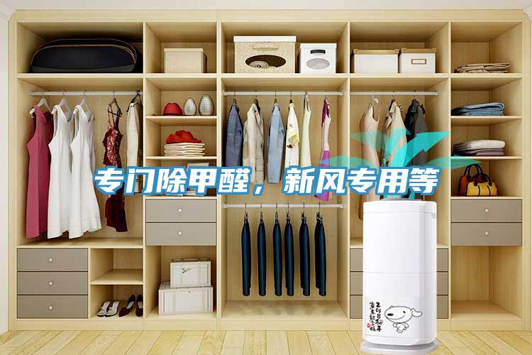专门除甲醛，新风专用等