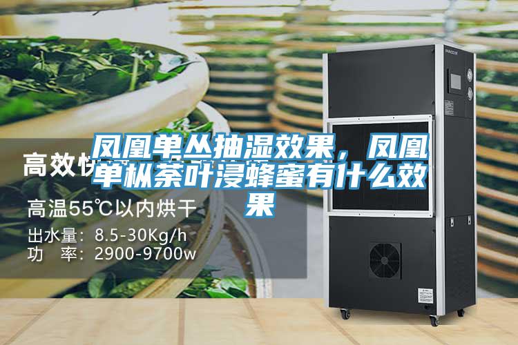 凤凰单丛抽湿效果，凤凰单枞荼叶浸蜂蜜有什么效果