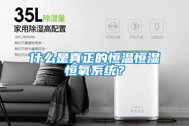 什么是真正的恒温恒湿恒氧系统？