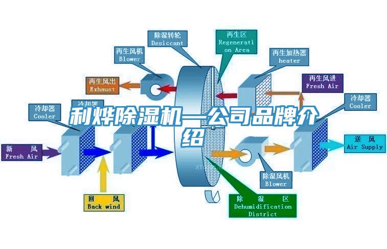 利烨免费看操逼软件—公司品牌介绍