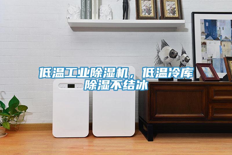 低温工业免费看操逼软件，低温冷库除湿不结冰