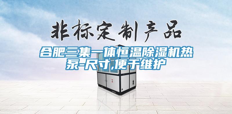 合肥三集一体恒温免费看操逼软件热泵-尺寸,便于维护