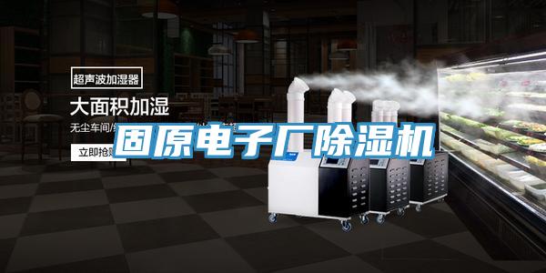 固原电子厂免费看操逼软件