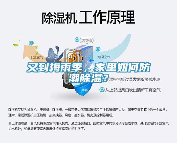 又到梅雨季，家里如何防潮除湿？
