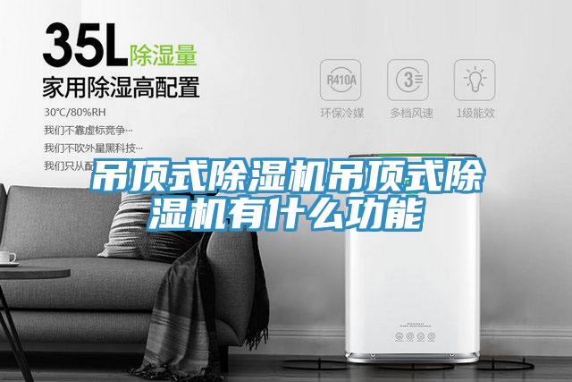 吊顶式免费看操逼软件吊顶式免费看操逼软件有什么功能