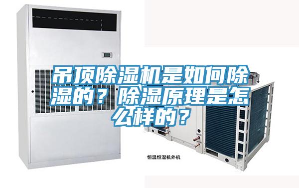 吊顶免费看操逼软件是如何除湿的？除湿原理是怎么样的？