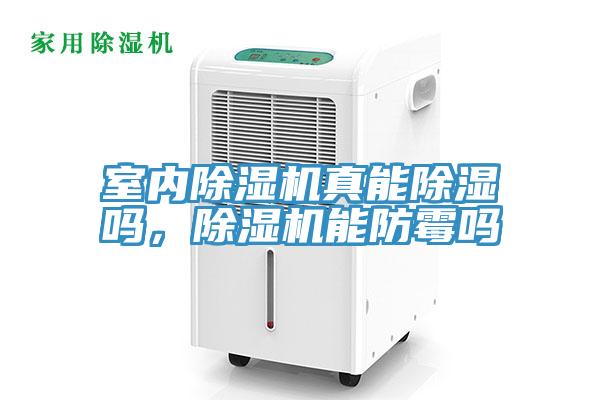 室内免费看操逼软件真能除湿吗，免费看操逼软件能防霉吗