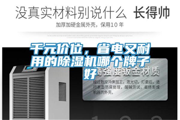 千元价位，省电又耐用的免费看操逼软件哪个牌子好