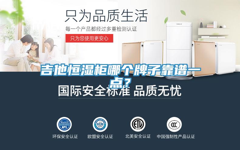 吉他恒湿柜哪个牌子靠谱一点？