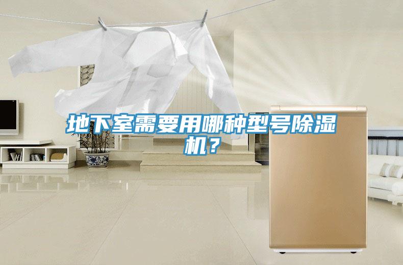 地下室需要用哪种型号免费看操逼软件？