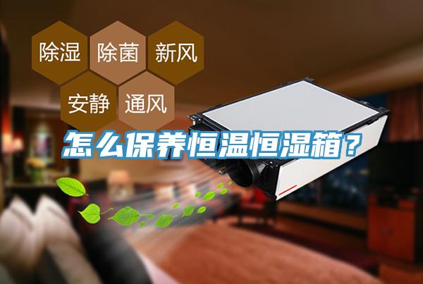 怎么保养恒温恒湿箱？