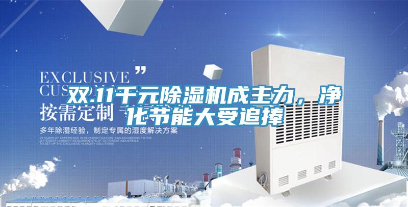双.11千元免费看操逼软件成主力，净化节能大受追捧