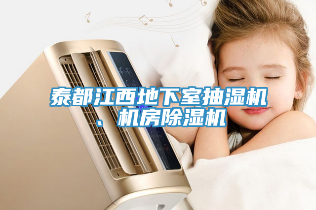 泰都江西地下室抽湿机、机房免费看操逼软件
