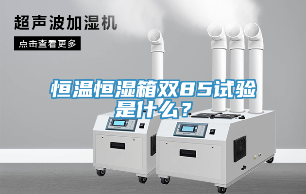 恒温恒湿箱双85试验是什么？