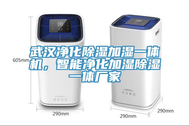 武汉净化除湿加湿一体机，智能净化加湿除湿一体厂家