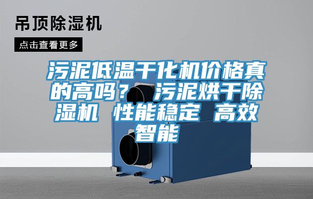 污泥低温干化机价格真的高吗？ 污泥烘干免费看操逼软件 性能稳定 高效智能