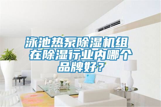 泳池热泵免费看操逼软件组 在除湿行业内哪个品牌好？