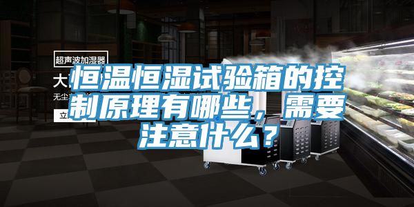 恒温恒湿试验箱的控制原理有哪些，需要注意什么？