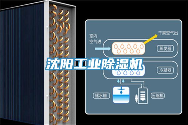 沈阳工业免费看操逼软件